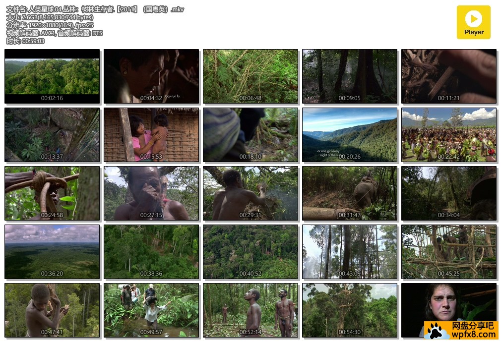 人类星球.04 丛林：树林生存者.【2011】（国粤英）.jpg
